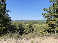 IMG_7274