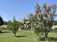 IMG_7289