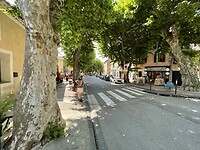 IMG_7292