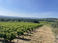 IMG_7312