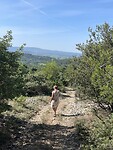 IMG_7317