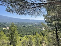 IMG_7326