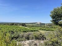 IMG_7324