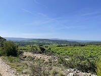 IMG_7325