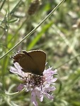 IMG_7323