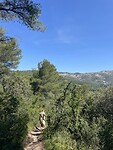 IMG_7330