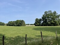 IMG_7385
