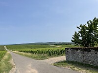 IMG_7381