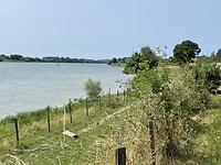 IMG_7397