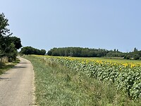 IMG_7396