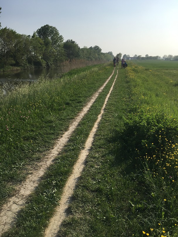 Tweerichtingsfietspad