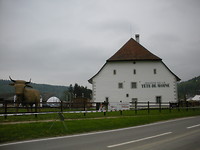 Van de kaas