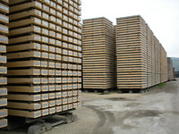 Hout en hout