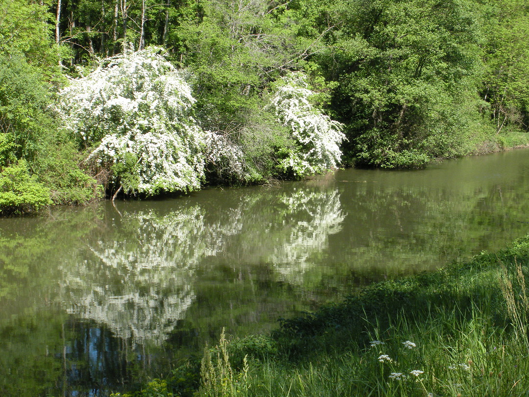 Canal des Vosges