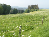 Onderweg