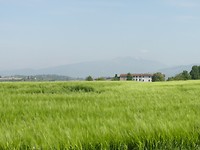 In de verte de eerste heuvels