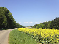 Traubach-Le-Haut
