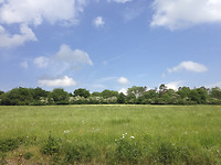Bois de Glands