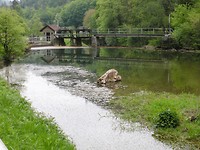 Rond Gloverier
