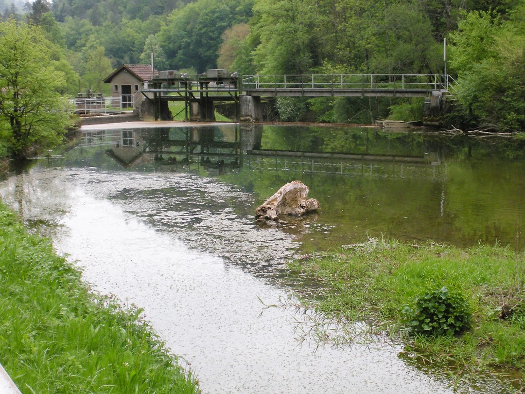 Rond Gloverier