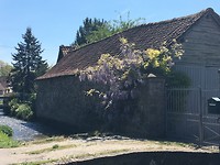 Pittoresk
