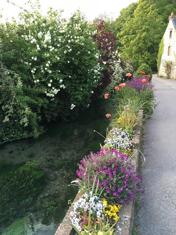 Veel bloemen hier