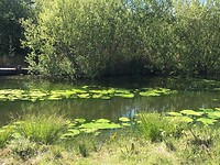 Waterplas in Condette