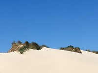 Duinen