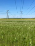 Techniek en natuur