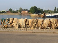 Visnetten