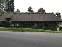 Dak met irissen