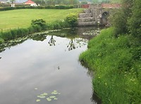 Naast de gravelpad