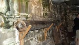 DSCF0481