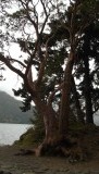 DSCF0530