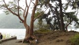 DSCF0531