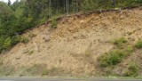 DSCF0532