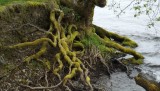 DSCF0535