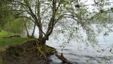 DSCF0536