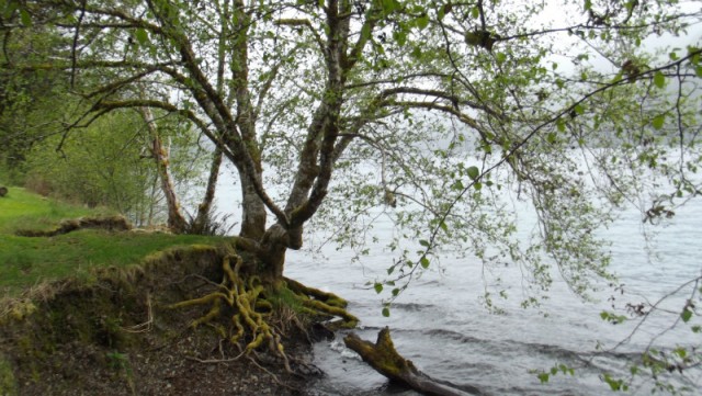 DSCF0536