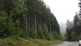 DSCF0537