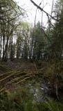 DSCF0540