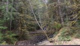 DSCF0541