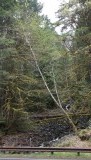 DSCF0542