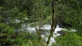DSCF0545
