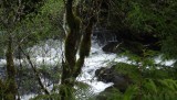 DSCF0546