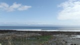 DSCF0547