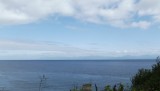 DSCF0550