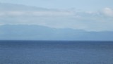 DSCF0552