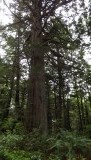 DSCF0555
