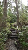 DSCF0558